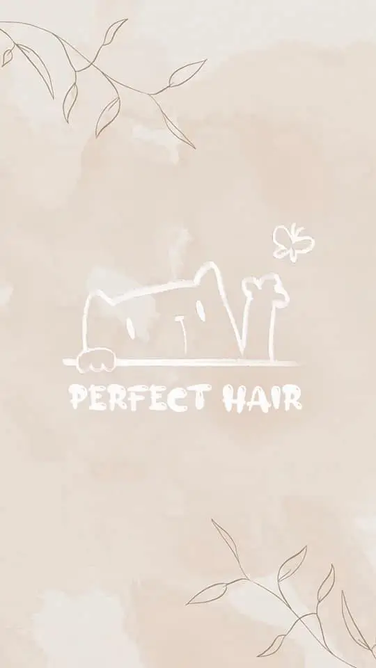 用戶分享｜美髮｜perfect_hair_salon｜波妃｜logo